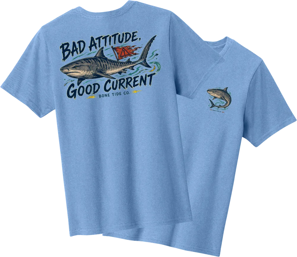 Bad Attitude Good Current