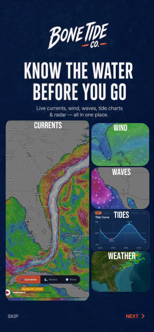 Bone Tide app, the water at a glance