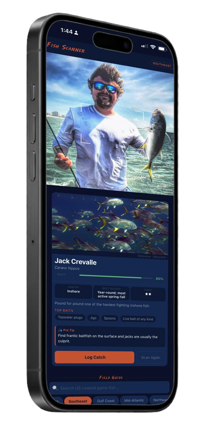 Fish scanner result