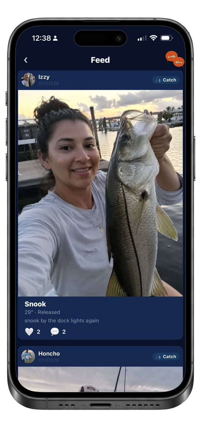 Community feed