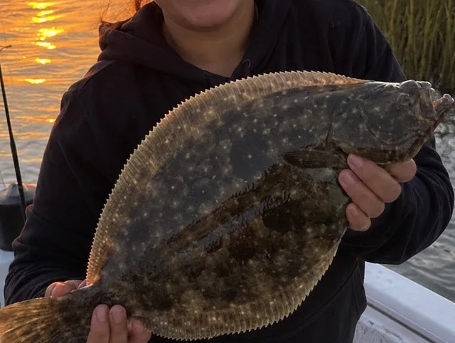 Flounder