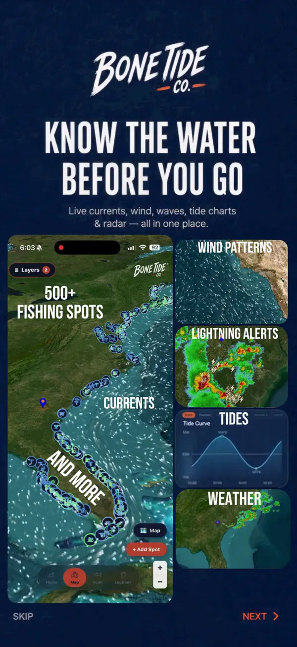 Bone Tide app, the water at a glance