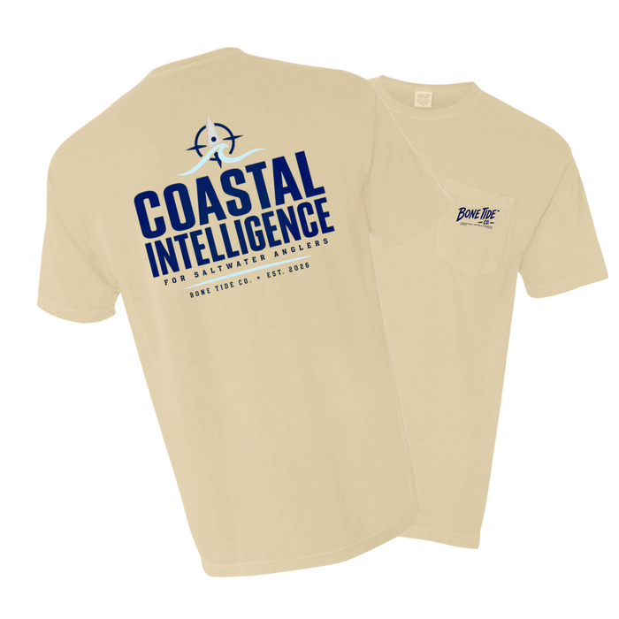 Coastal Intelligence